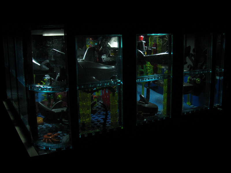 aquarium-08.jpg