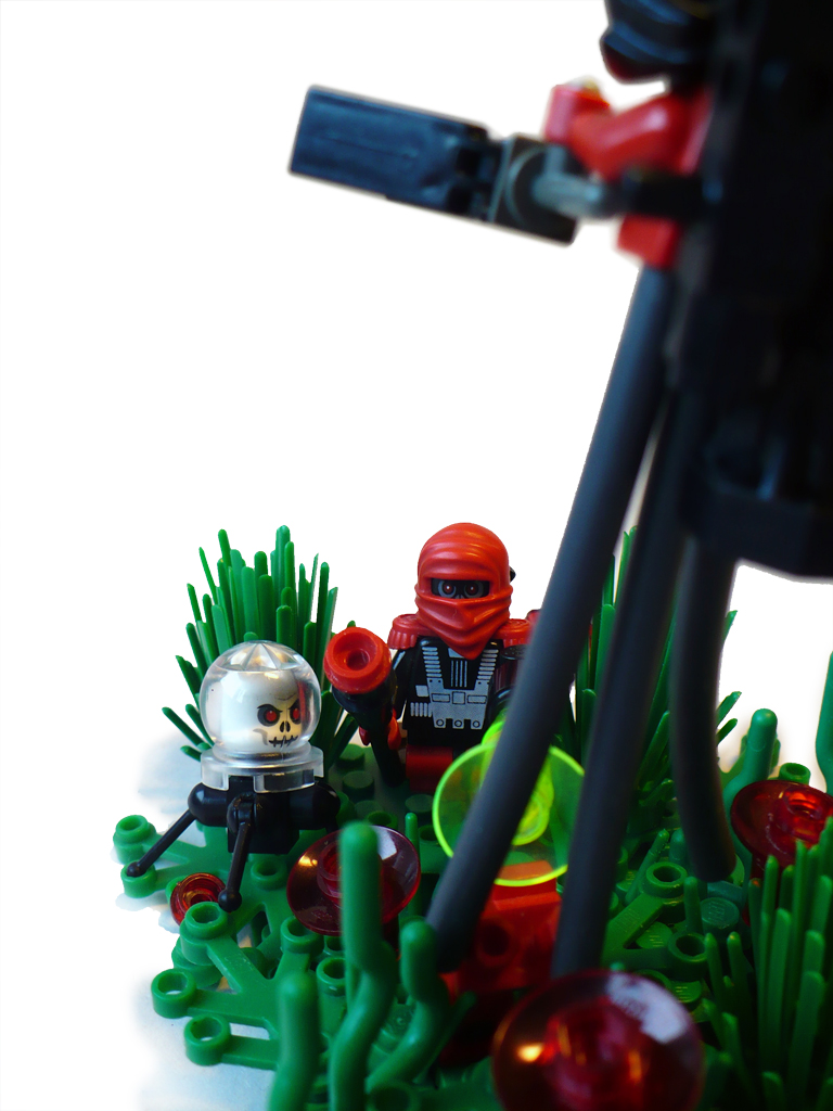moc_02_photo05b.jpg