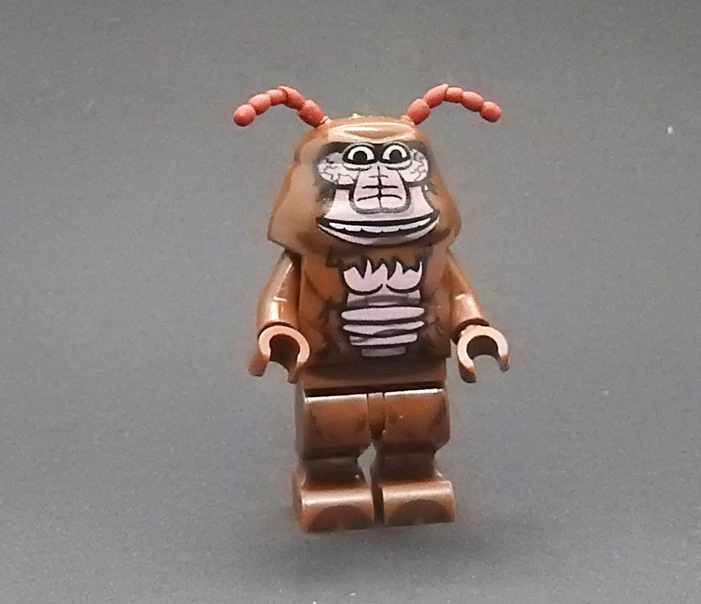 dscn2931.jpg