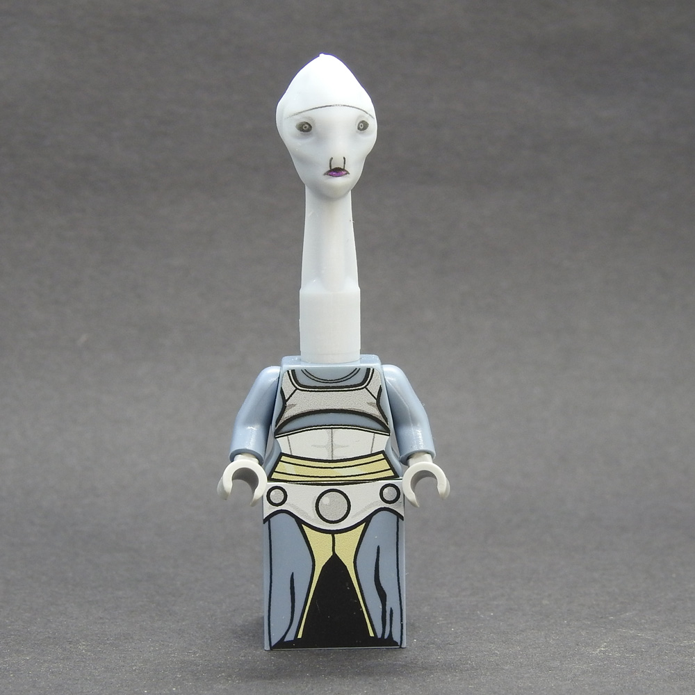 dscn3481.jpg