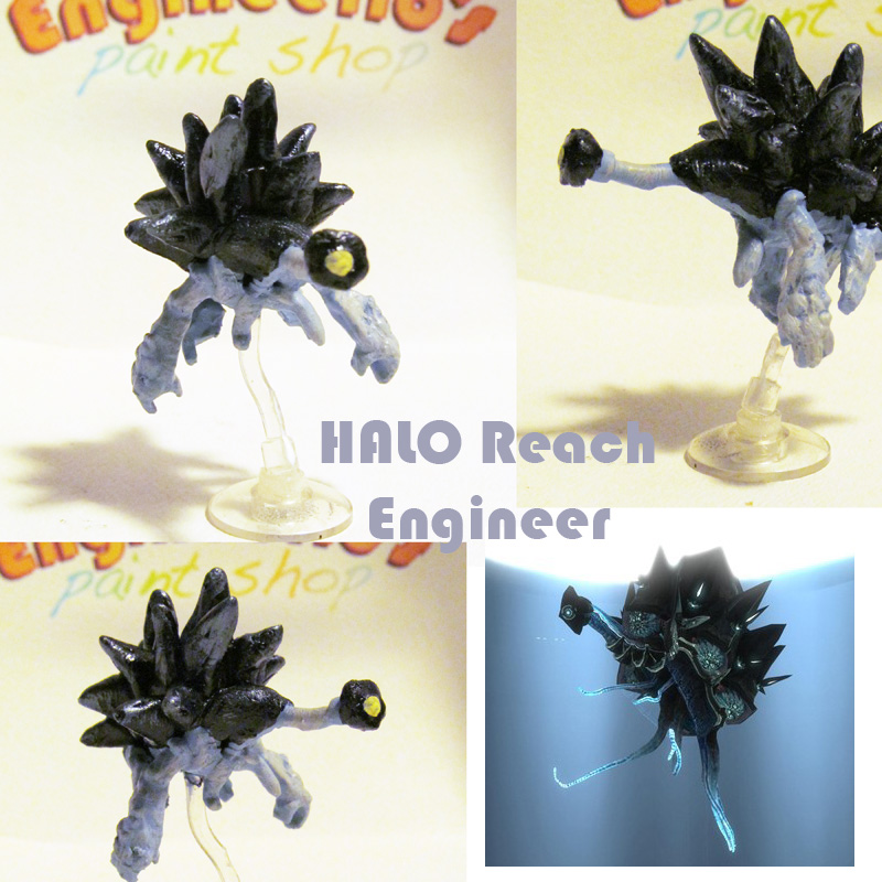 engineer_reach.jpg