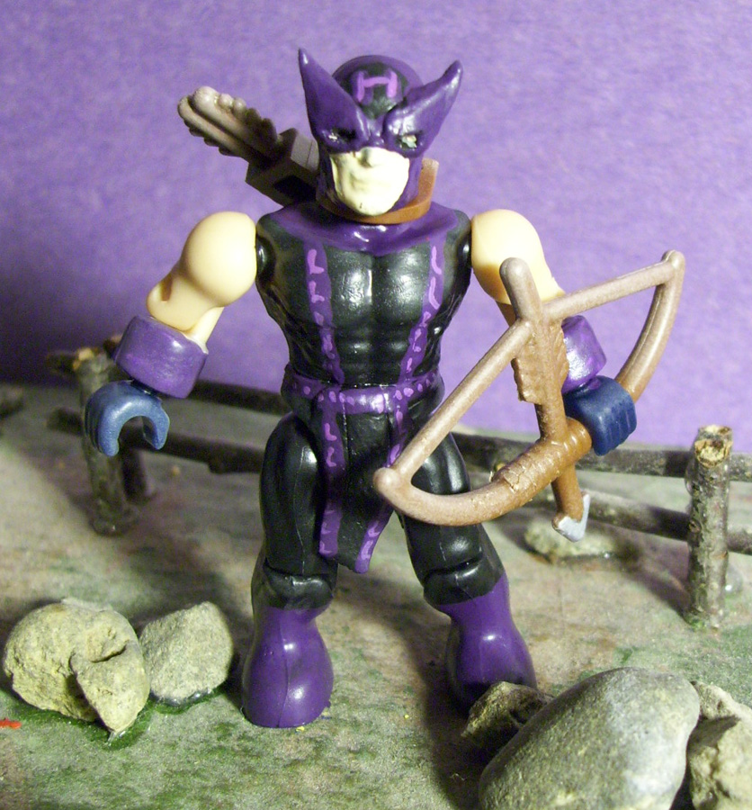 hawkeye_1.jpg