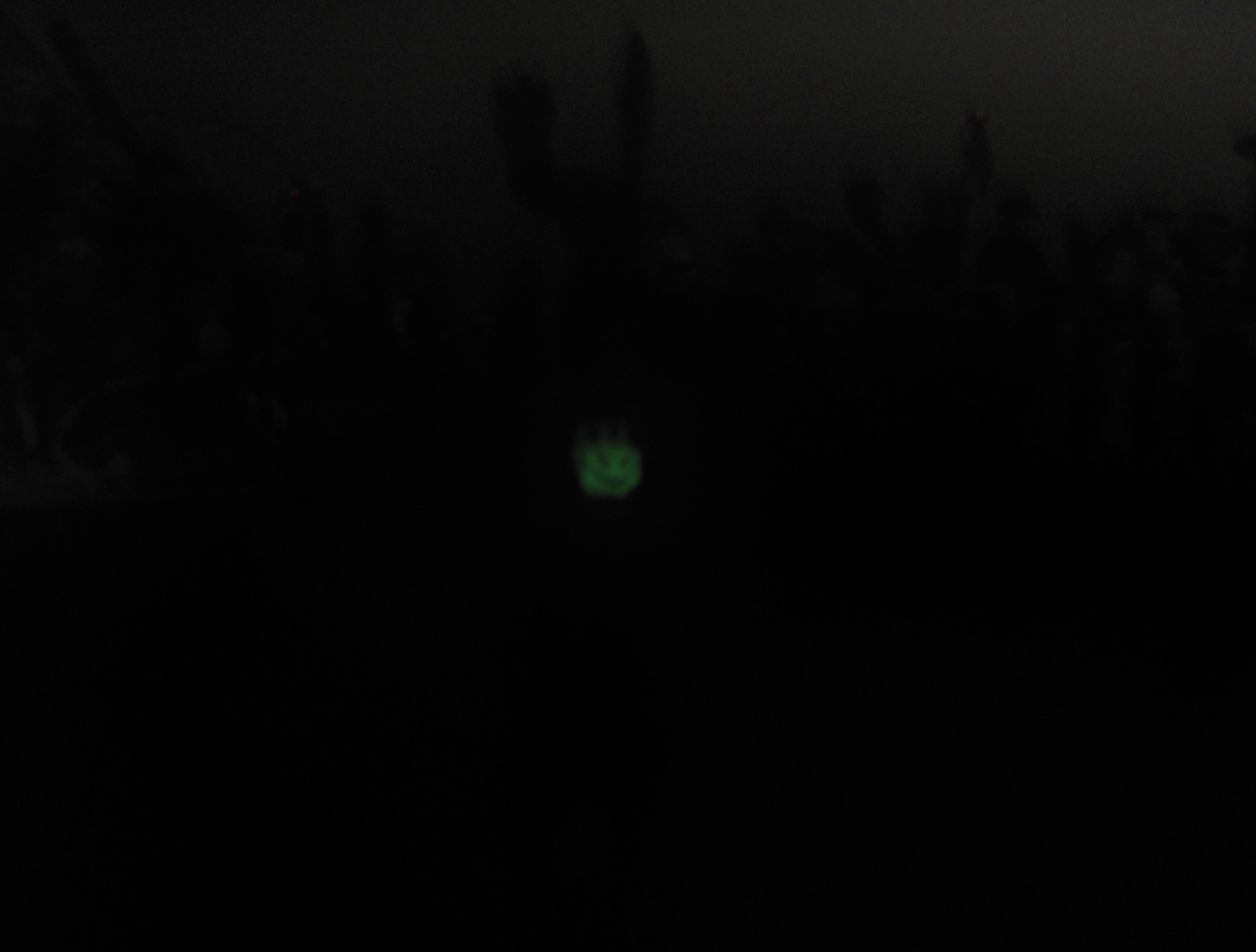 scarecrow_at_night.jpg