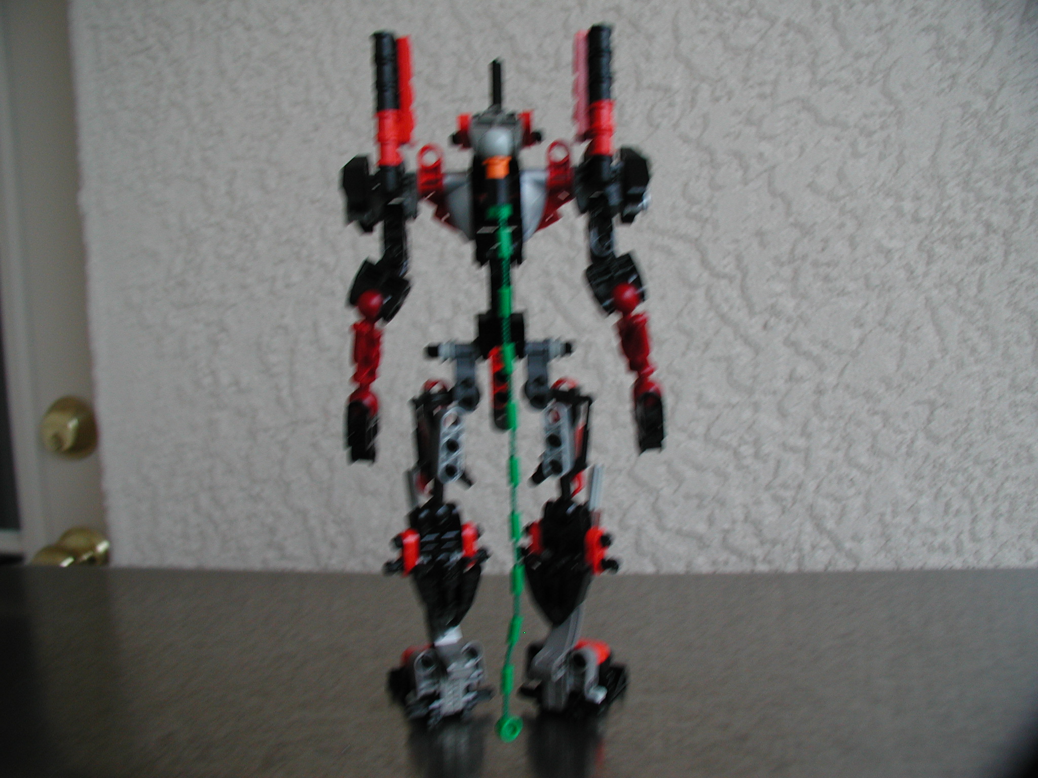 evaback.jpg
