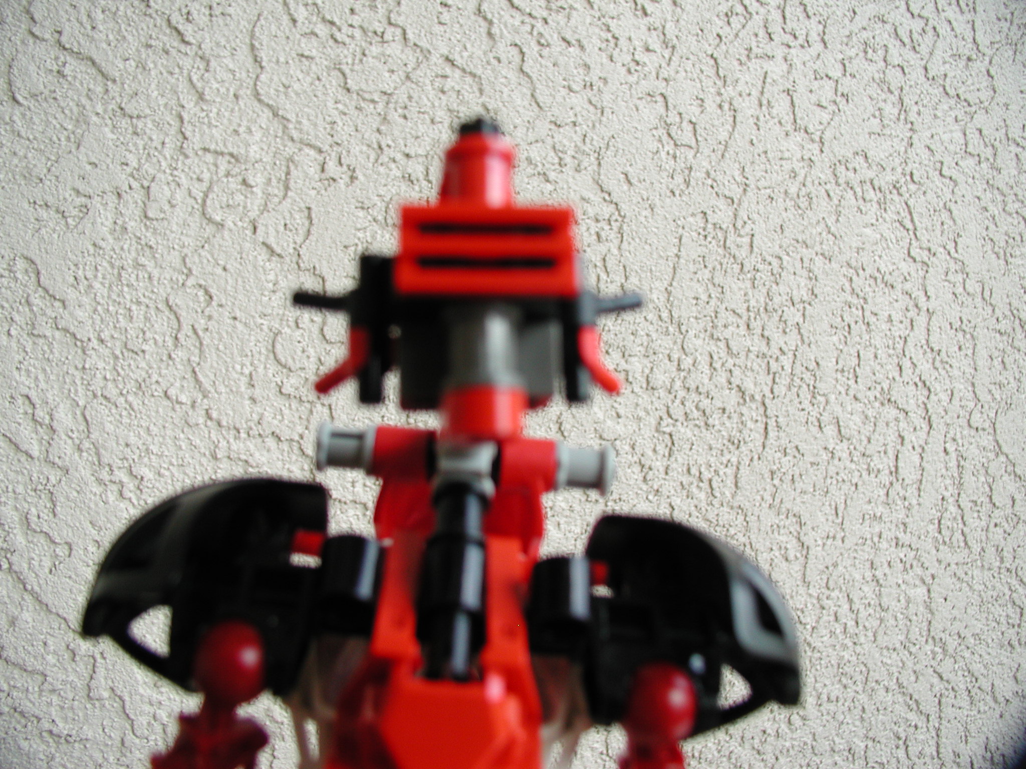zoomhead.jpg