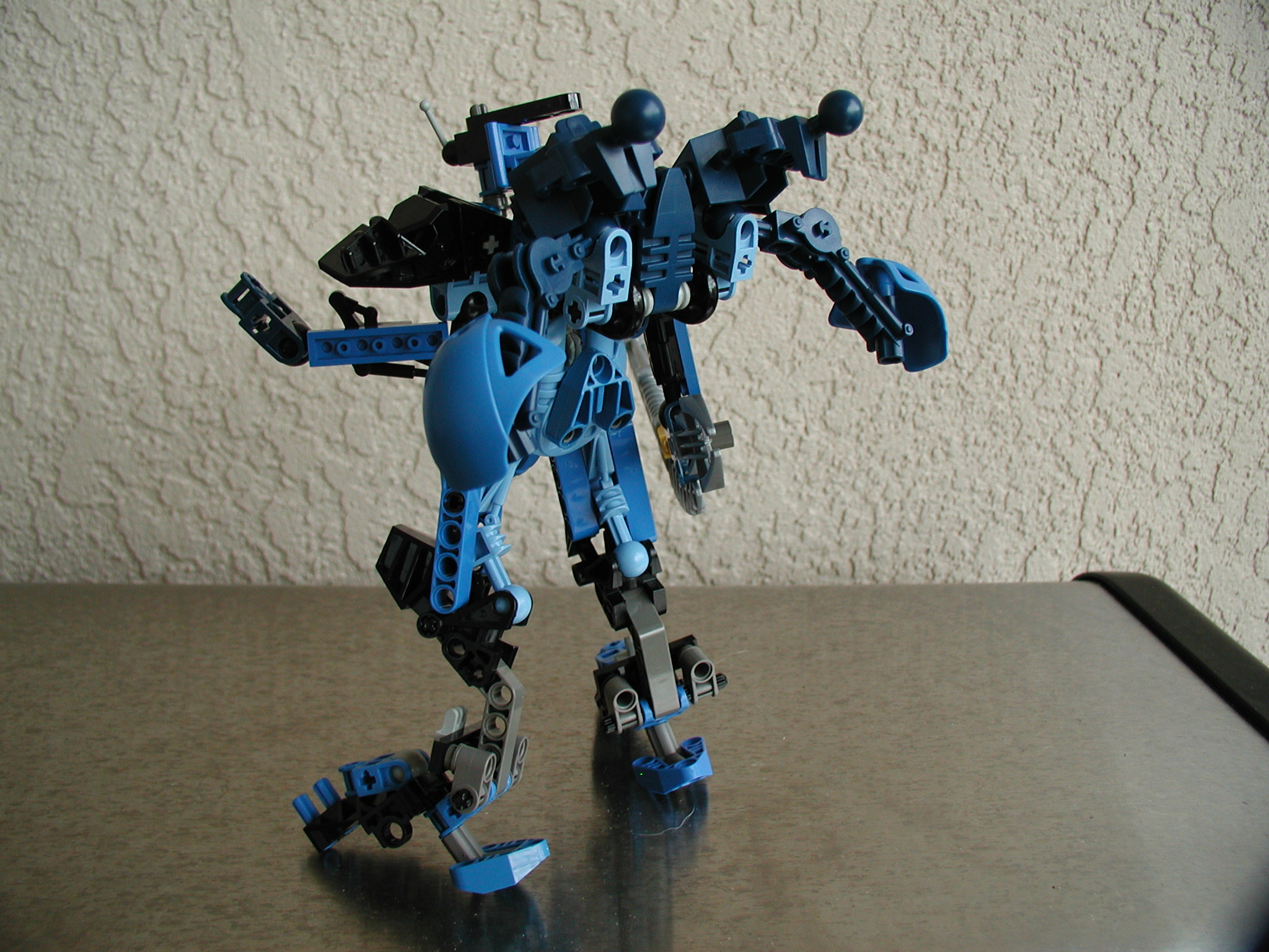 rbackpose.jpg