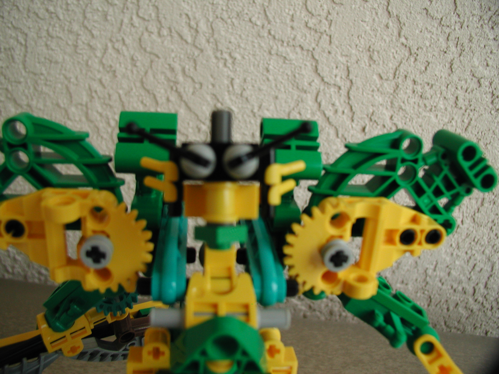 shead.jpg