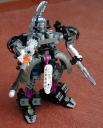ms-drache