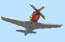 mustang_6.jpg