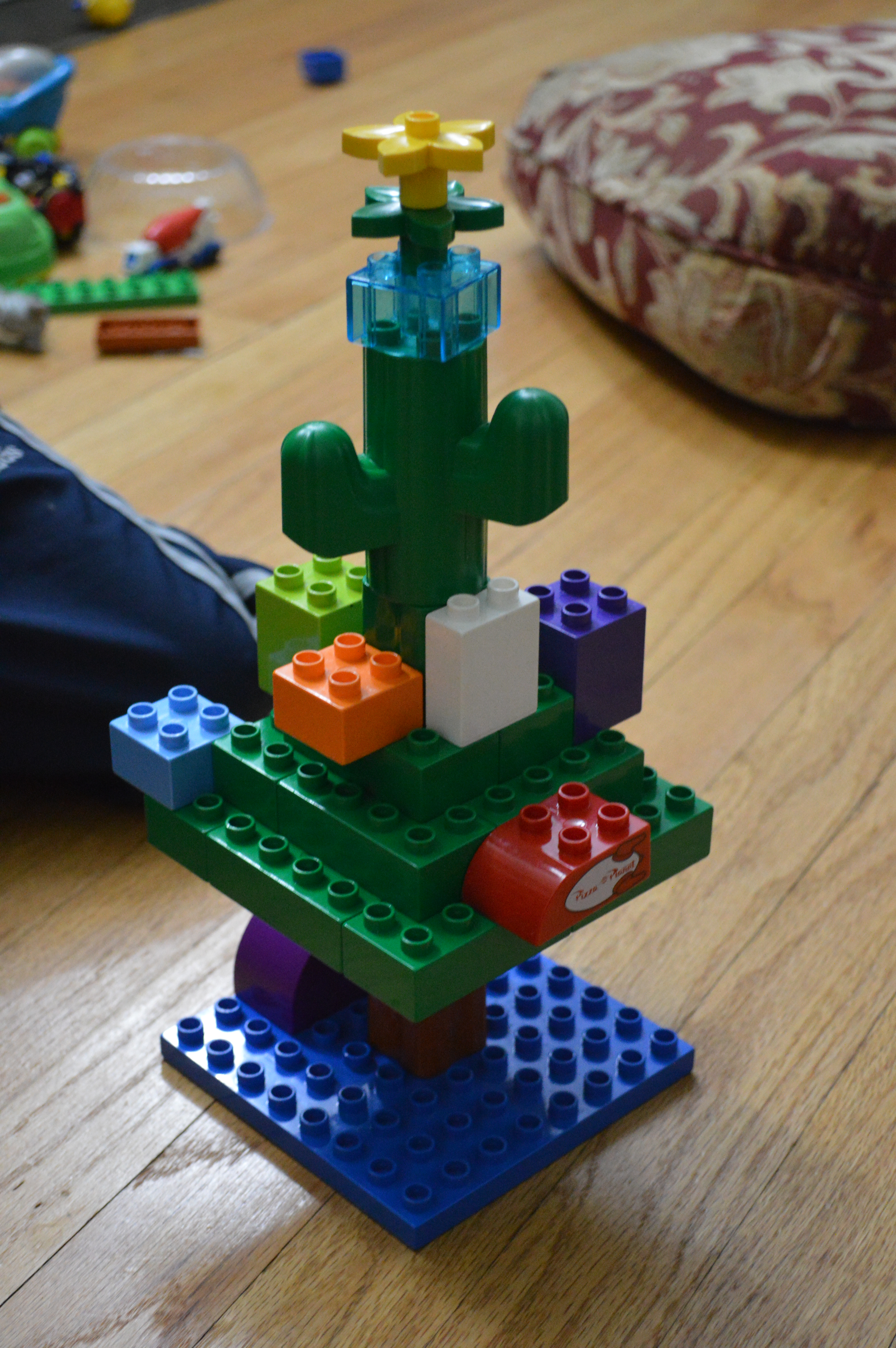 dsc_8765.jpg