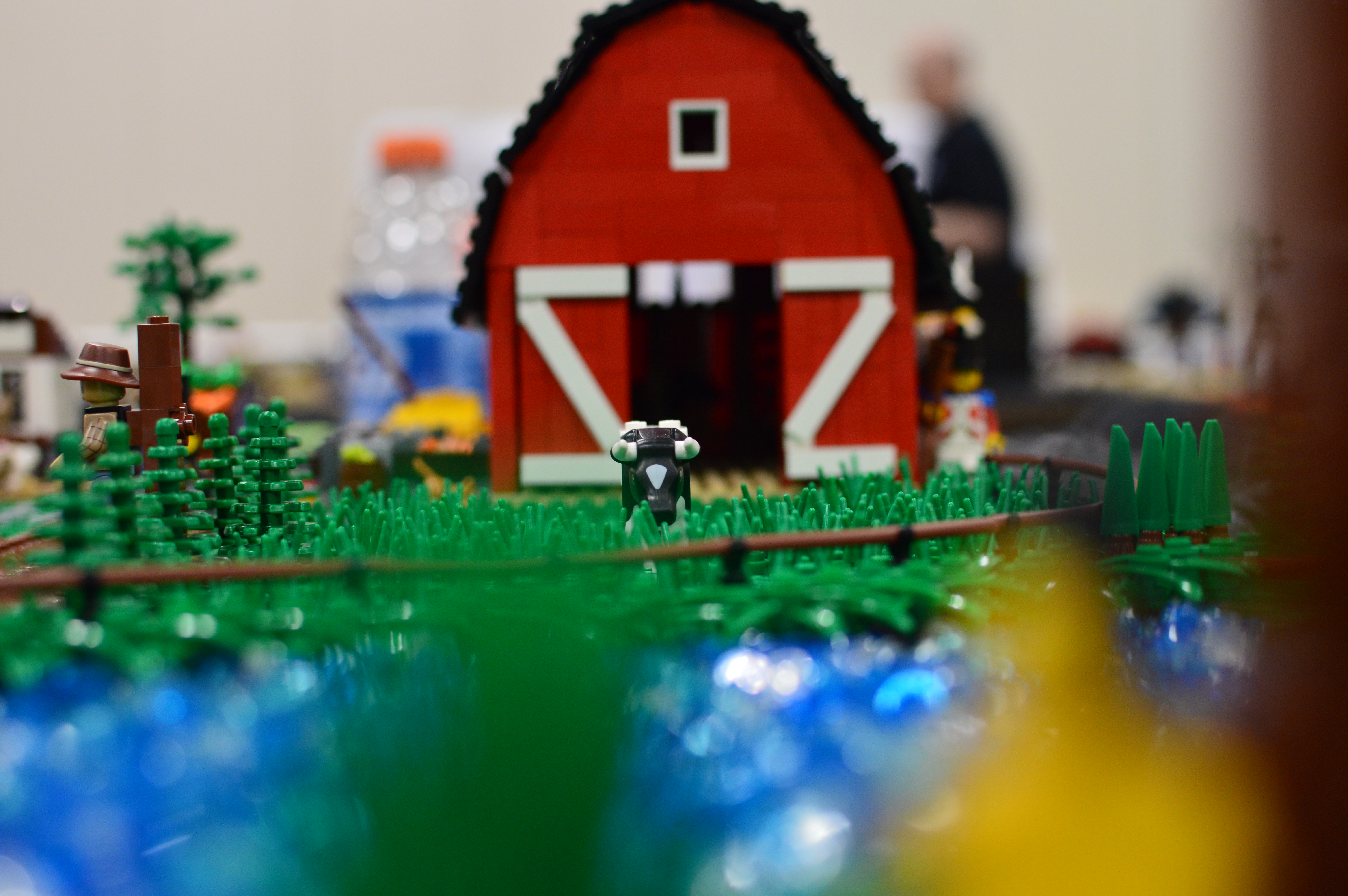 dsc_6200_18451191054_o.jpg