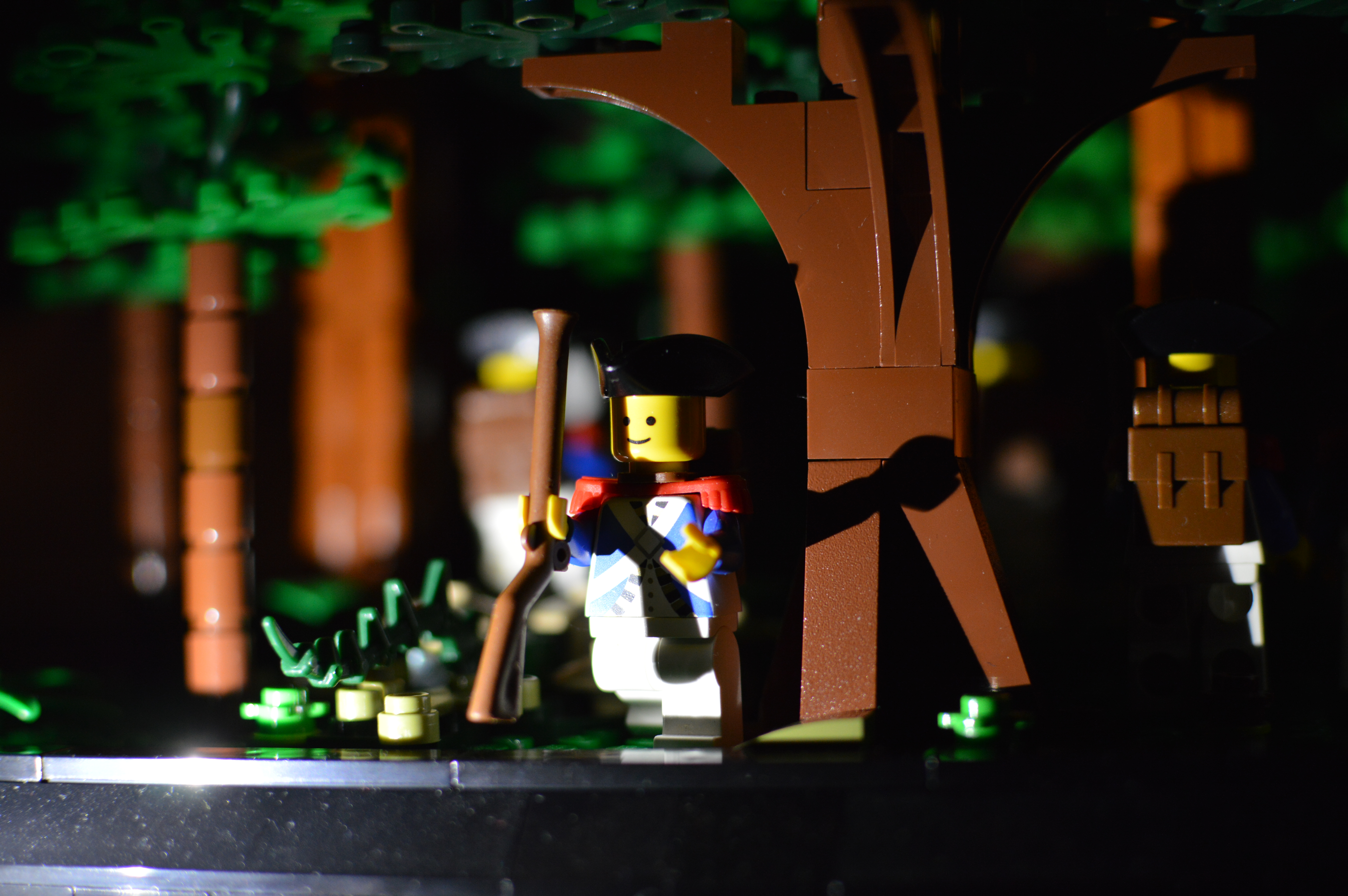 dsc_6252_18453167913_o.jpg