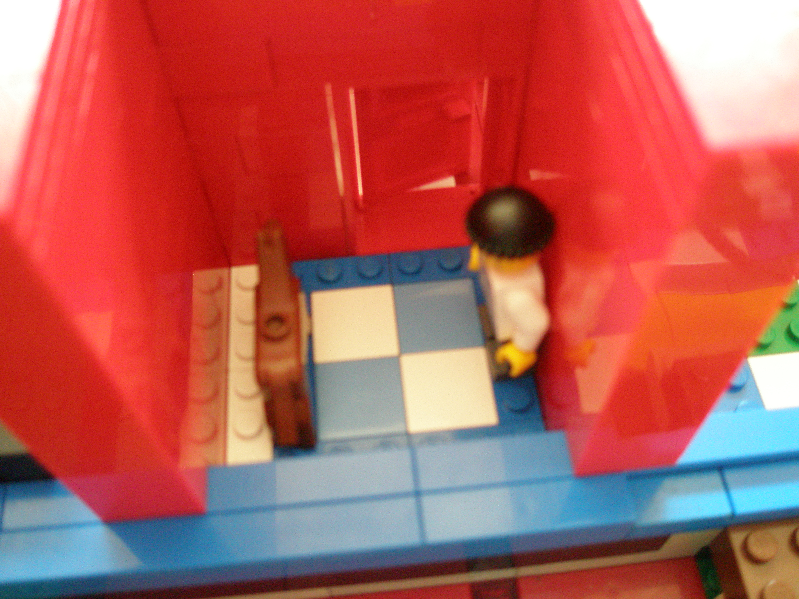 p7290011.jpg