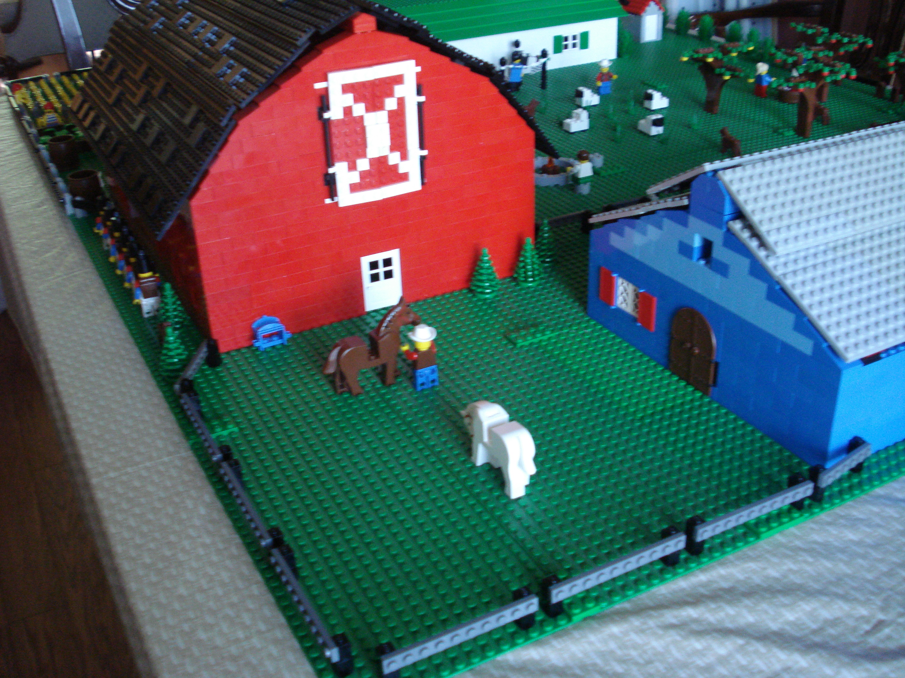 dsc01786.jpg