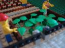 dsc01782.jpg