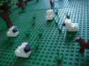 dsc01790.jpg