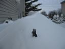 img_2433.jpg
