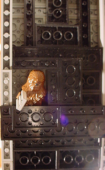 falconhold7chewie3.jpg