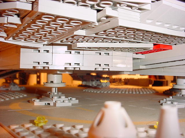 falconunderside1.jpg