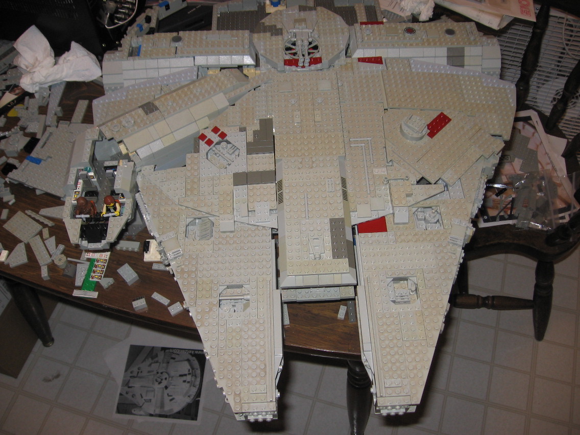 falcon07008.jpg