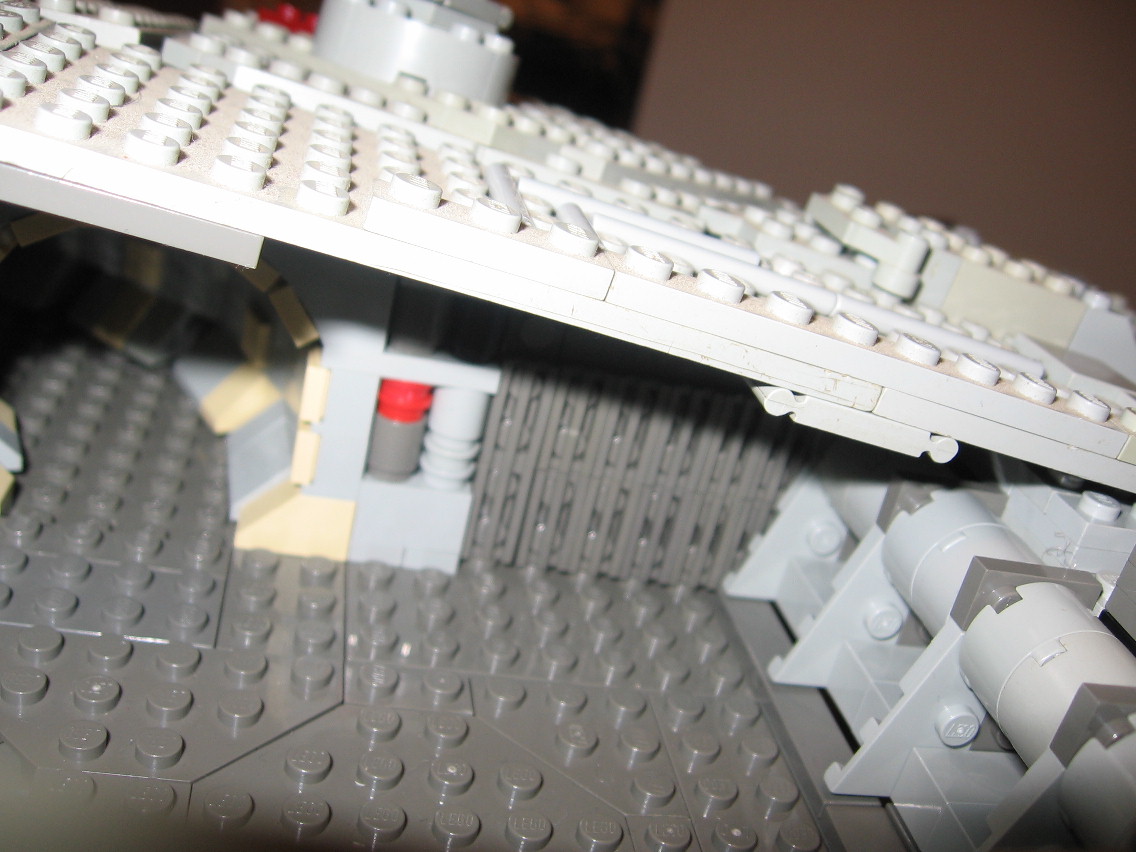 falcon07020.jpg