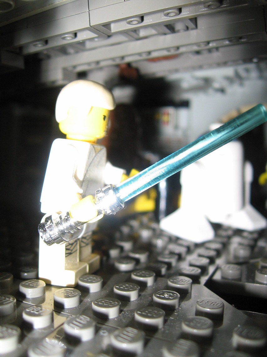 falcon07021.jpg