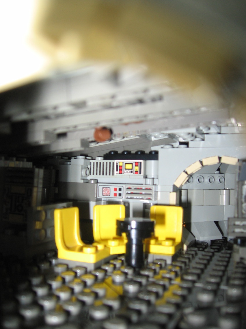 falcon07022.jpg