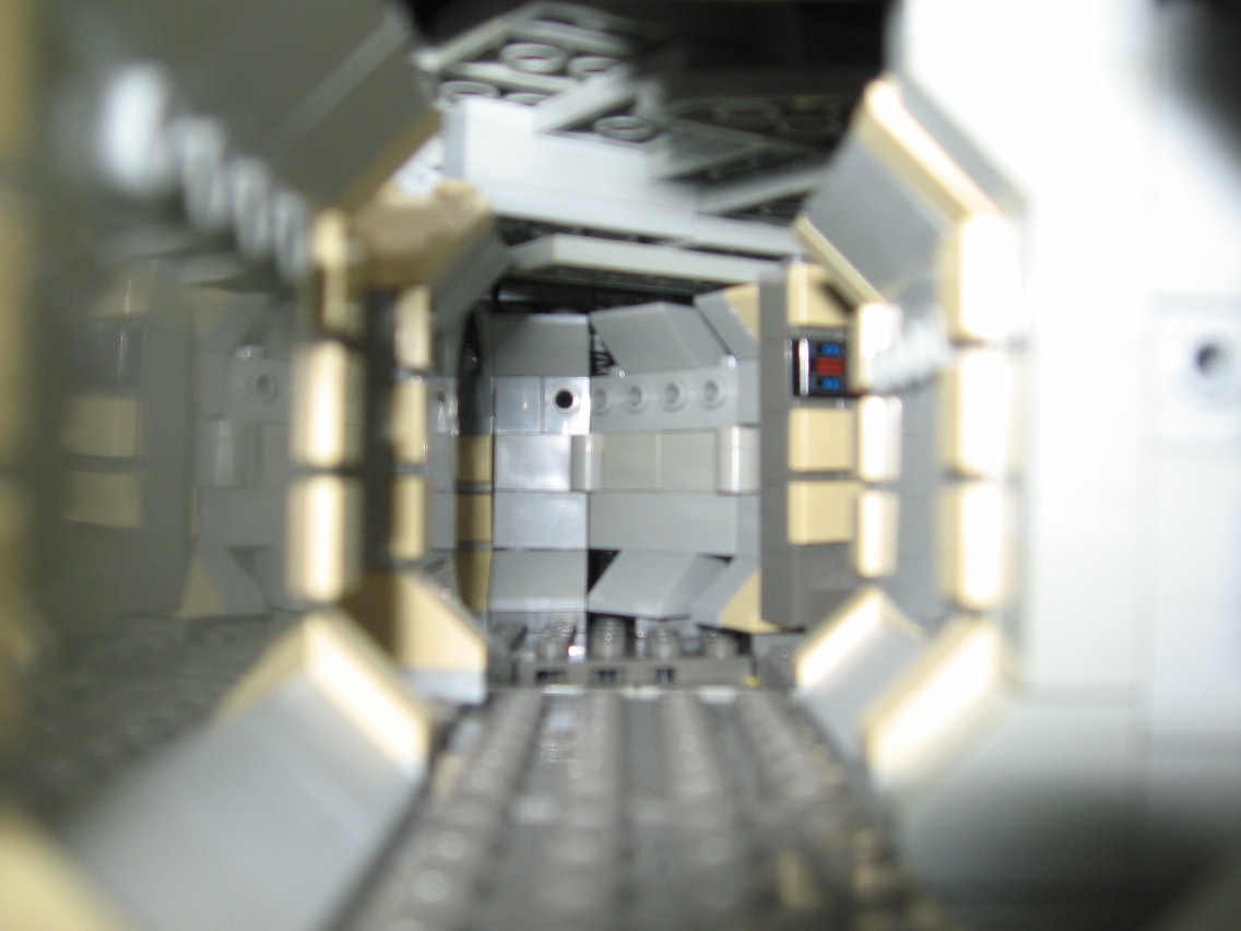 falcon07026.jpg