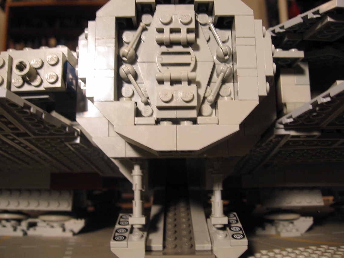 falcon07037.jpg