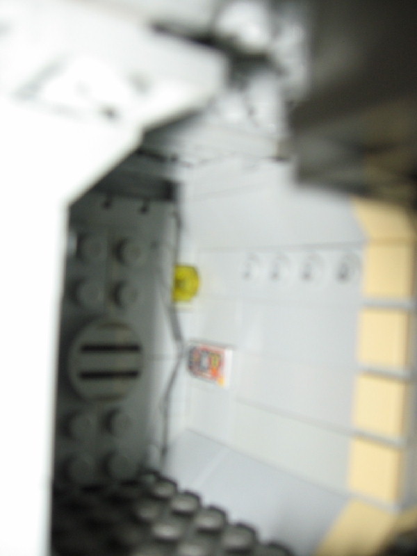 falcon07041.jpg