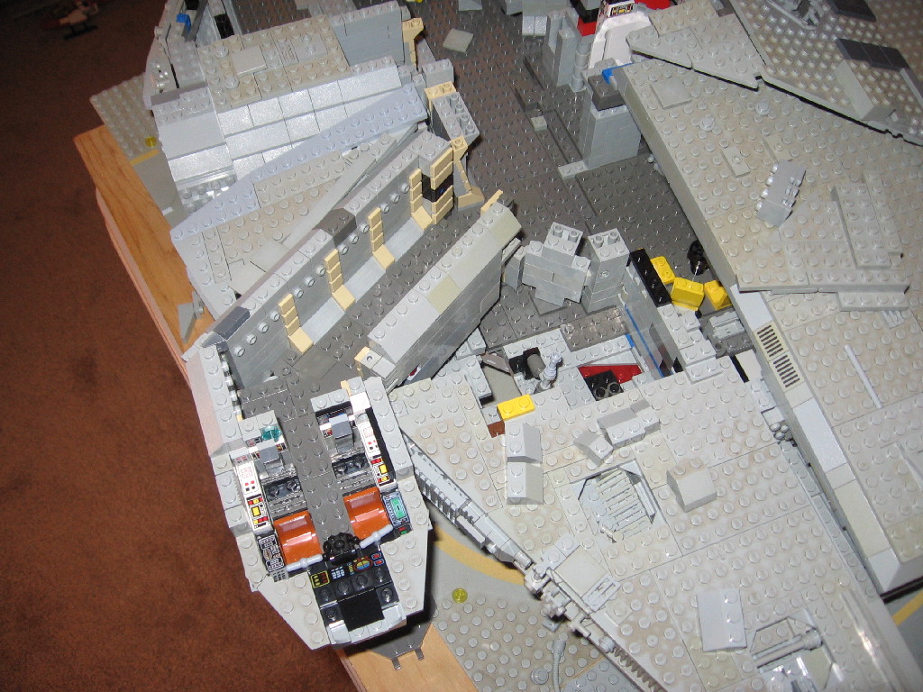 falcon07086.jpg