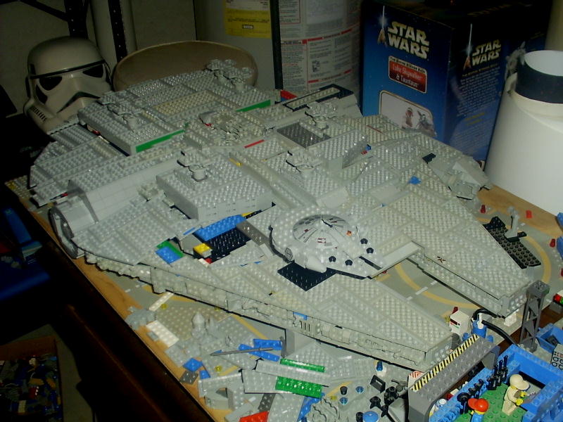 falconinprogress89.jpg