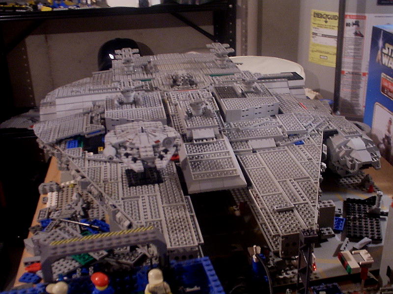 falconinprogress90.jpg