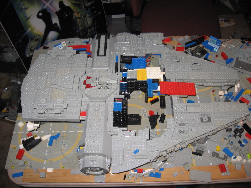 falconinprogress91.jpg