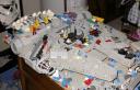 falconinprogress6.jpg