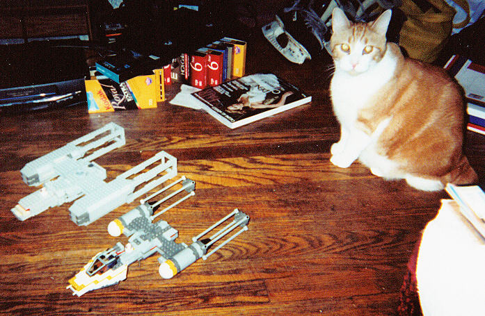 ywingmod04compare_cat.jpg