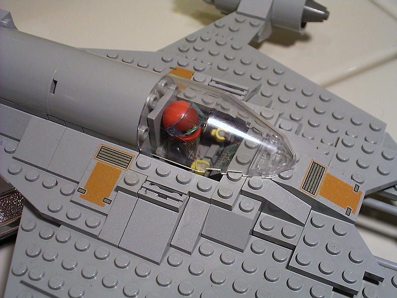 n19_vigilance07.jpg