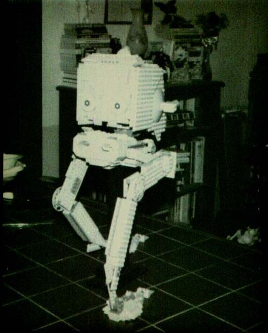 scoutwalkerrear.jpg