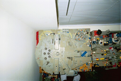 falconoverhead2.jpg