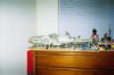 falconside0002.jpg