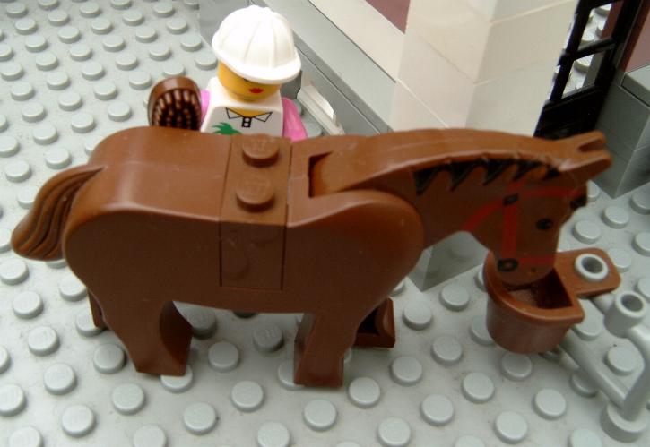 horse.jpg