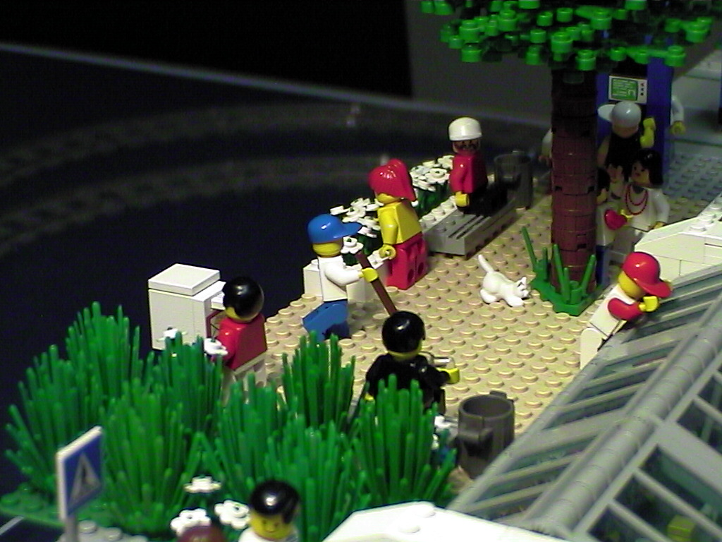 park2.jpg