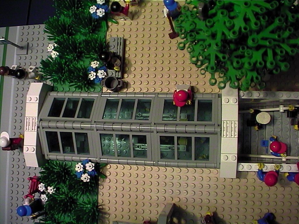 toplight3.jpg