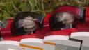 lego_laati__atte_projeckt_004.jpg