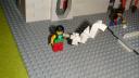 dsc01383.jpg