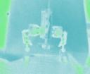 kmhgftemple.bmp