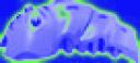 radkra.gif