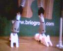 lowerlegs.bmp