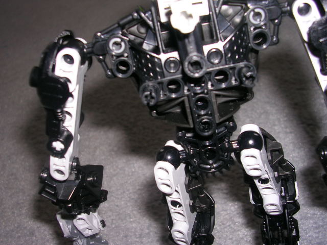 dscn2341.jpg