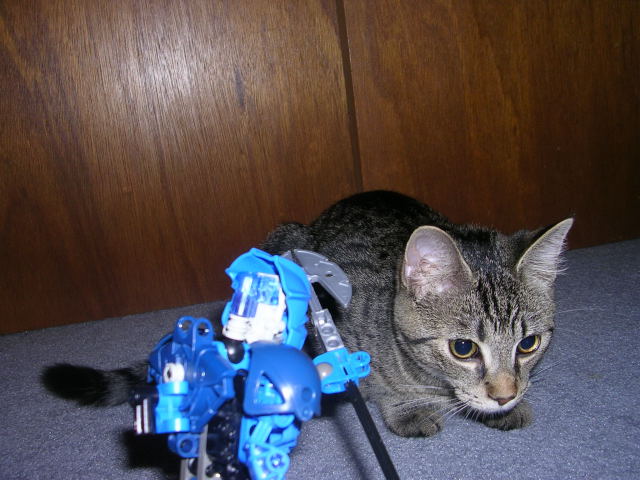 dscn2420.jpg